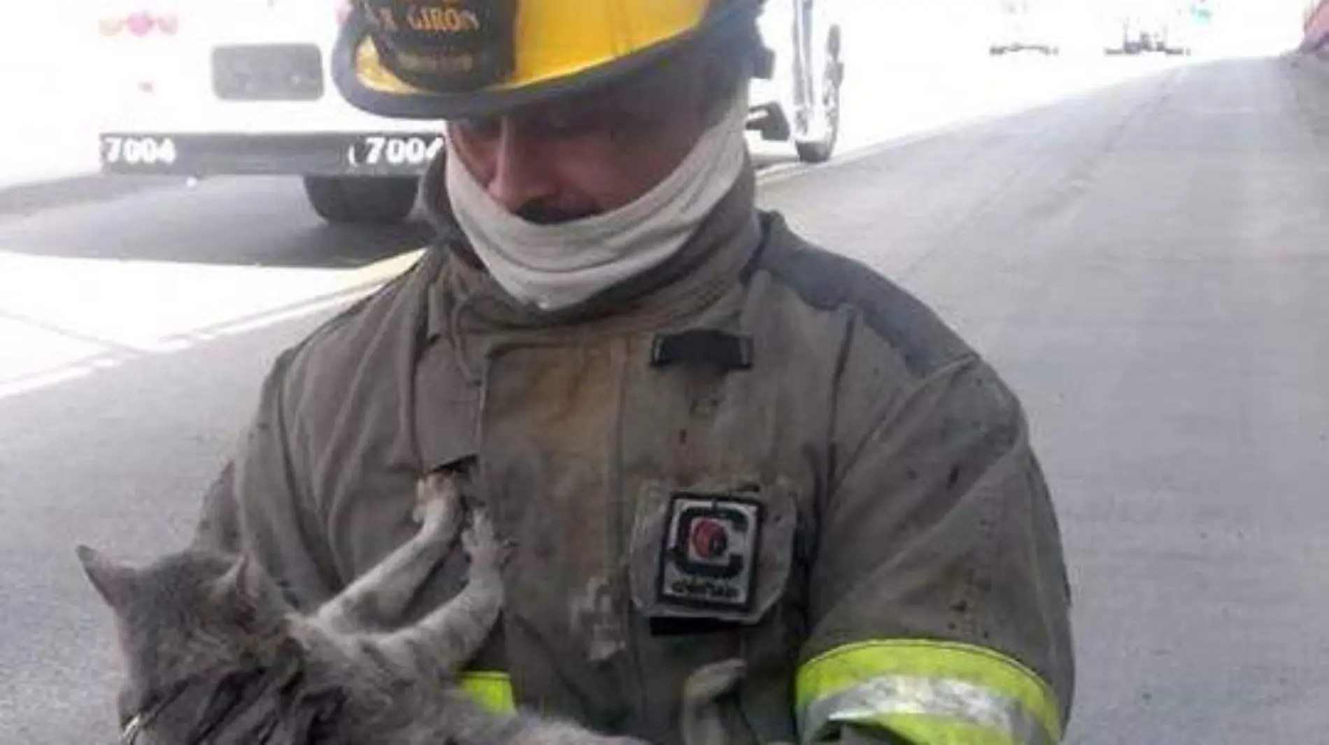 rescatan bomberos a gato